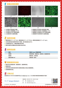 病毒包装5 8折大福利 生工生物 生命科学产品与技术服务